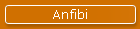 Anfibi